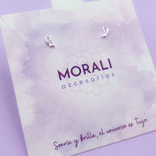 Cargar imagen en el visor de la galería, Aretes Plata Ala Cierre de Seguridad
